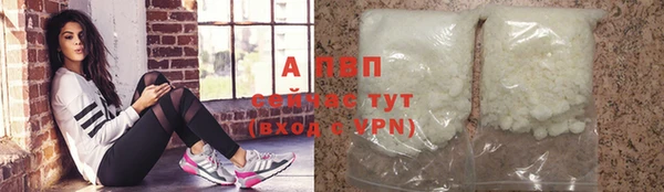 хмурый Пересвет