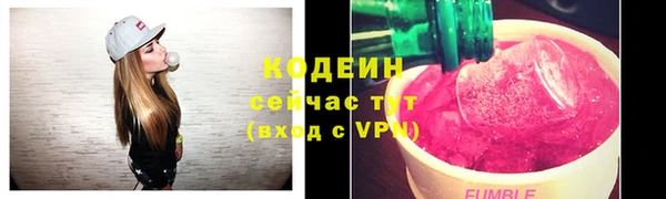 хмурый Пересвет