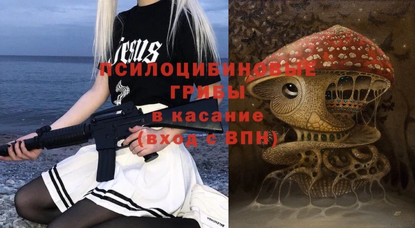 прущие крисы Верея