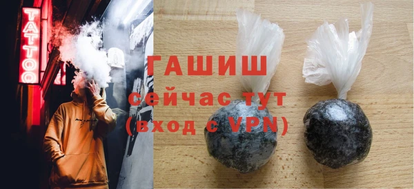 хмурый Пересвет