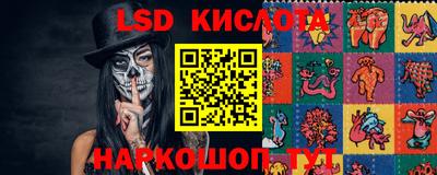 прущие грибы Апшеронск
