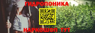 амф Аргун