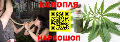 прущие грибы Апшеронск