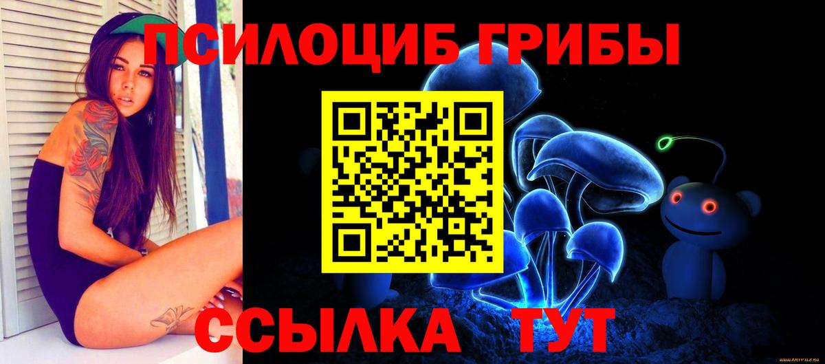 Псилоцибиновые грибы GOLDEN TEACHER  Псилоцибиновые грибы мицелий  Вход с VPN  закладки  Калач-на-Дону 